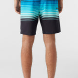 Hyperfreak Heat Stripe Line 19" Boardshorts
