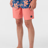 Hyperfreak Heat Block 19" Boardshorts
