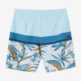 Hyperfreak Heat Block 19" Boardshorts