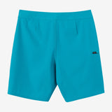 Hyperfreak Heat Solid 19" Boardshorts