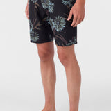 Cruzer 19" Boardshorts