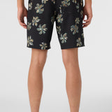Cruzer 19" Boardshorts