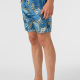 Cruzer 19" Boardshorts