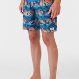 Cruzer 19" Boardshorts