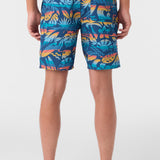 Cruzer 19" Boardshorts