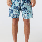 Cruzer 19" Boardshorts