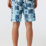 Cruzer 19" Boardshorts