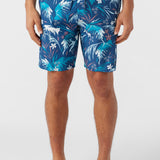 Cruzer 19" Boardshorts
