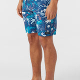 Cruzer 19" Boardshorts