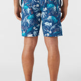 Cruzer 19" Boardshorts