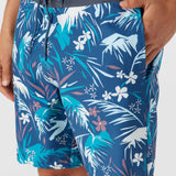Cruzer 19" Boardshorts