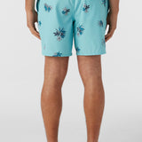 Hermosa Elastic Waist 17" Swim Trunks