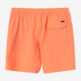 Lennox Hermosa Solid Elastic Waist 17" Swim Trunks