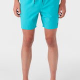 Lennox Hermosa Solid Volley 17" Swim Trunks