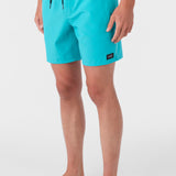 Lennox Hermosa Solid Volley 17" Swim Trunks
