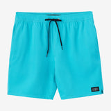 Lennox Hermosa Solid Volley 17" Swim Trunks