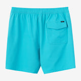 Lennox Hermosa Solid Volley 17" Swim Trunks