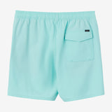 Lennox Hermosa Solid Elastic Waist 17" Swim Trunks