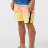Superfreak 20" Boardshorts
