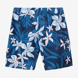 Lennox Print 20" Boardshorts