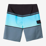 Lennox Stripe 21" Boardshorts