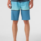 Lennox Stripe 21" Boardshorts