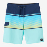 Lennox Stripe 21" Boardshorts