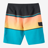 Lennox Stripe 21" Boardshorts