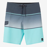 Lennox Stripe 21" Boardshorts