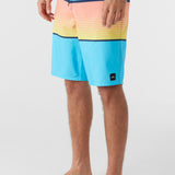 Lennox Stripe 21" Boardshorts