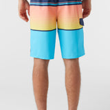 Lennox Stripe 21" Boardshorts