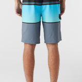Lennox Stripe 21" Boardshorts