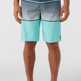 Lennox Stripe 21" Boardshorts