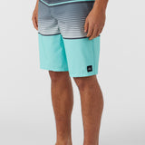 Lennox Stripe 21" Boardshorts