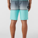 Lennox Stripe 21" Boardshorts