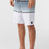 Lennox Stripe 21" Boardshorts