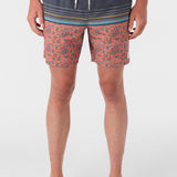 Hermosa Elastic Waist Lined 17" Swim Trunks