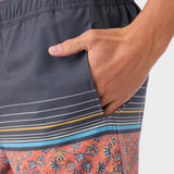 Hermosa Elastic Waist Lined 17" Swim Trunks