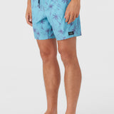 Hermosa Elastic Waist Lined 17" Swim Trunks