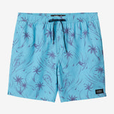 Hermosa Elastic Waist Lined 17" Swim Trunks