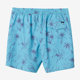 Hermosa Elastic Waist Lined 17" Swim Trunks