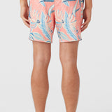 Hermosa Elastic Waist Lined 17" Swim Trunks