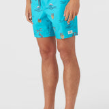 Hermosa Elastic Waist Lined 17" Swim Trunks