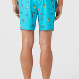 Hermosa Elastic Waist Lined 17" Swim Trunks