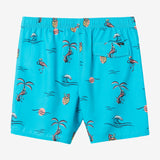 Hermosa Elastic Waist Lined 17" Swim Trunks