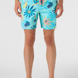Hermosa Elastic Waist Lined 17" Swim Trunks