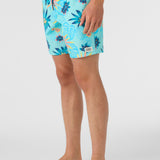 Hermosa Elastic Waist Lined 17" Swim Trunks