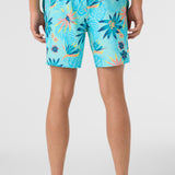 Hermosa Elastic Waist Lined 17" Swim Trunks
