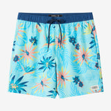Hermosa Elastic Waist Lined 17" Swim Trunks