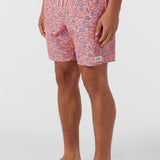 Hermosa Elastic Waist Lined 17" Swim Trunks